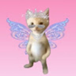 Meet your Posher, Lucia